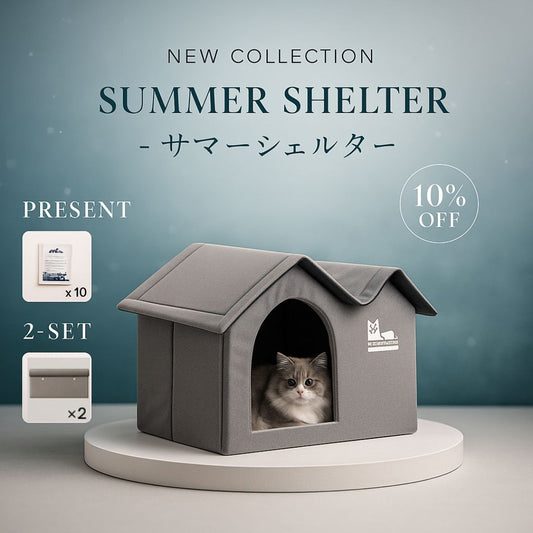 Summer Shelter - サマーシェルター